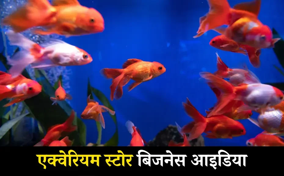 Aquarium Store business ideas in hindi