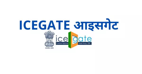 What is ICEGATE in Hindi? | How Does ICEGATE Work in Hindi ?