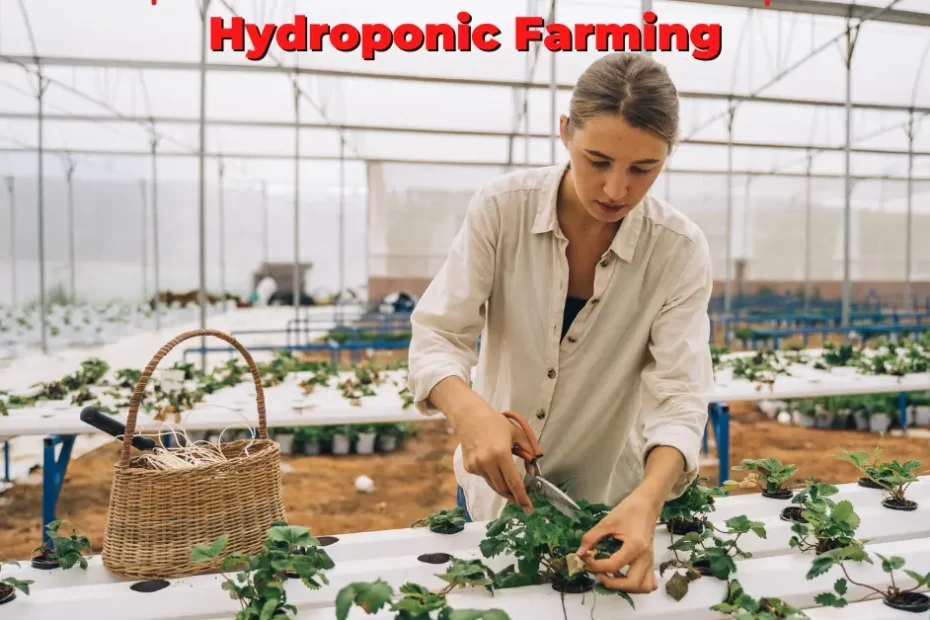 hydroponic farming at home