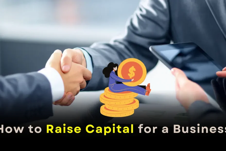 How to raise capital for a business India